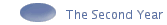 The Second Year