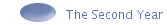 The Second Year